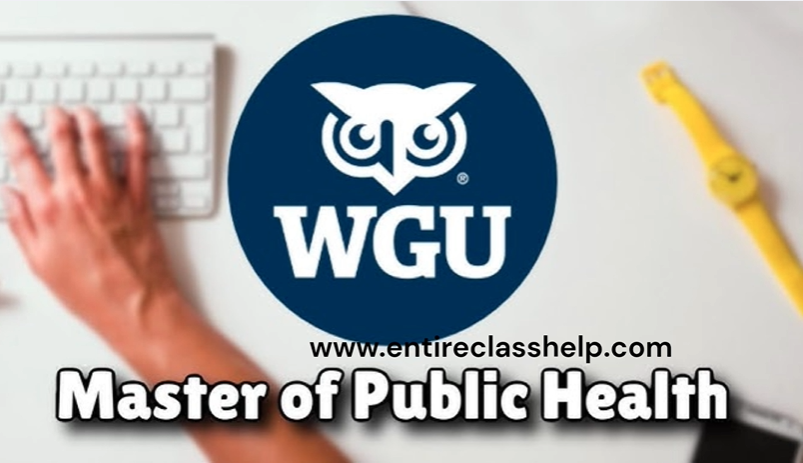 Pay Someone to Take My WGU Exams