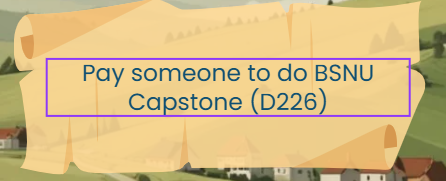 Pay someone to do BSNU Capstone (D226)