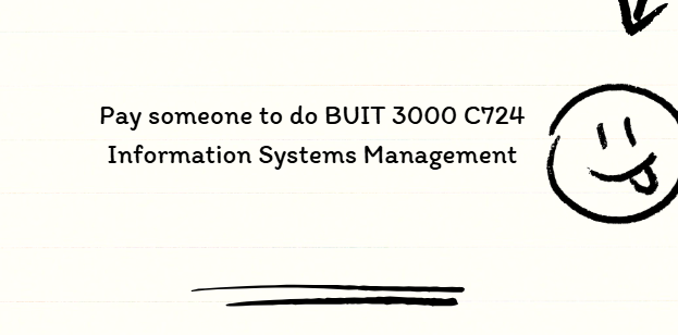 Pay someone to do BUIT 3000 C724 Information Systems Management